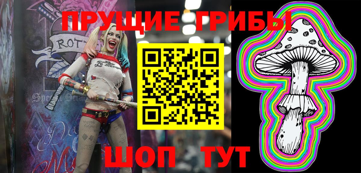 Галлюциногенные грибы Psilocybine cubensis  Вход с VPN  Электрогорск  Псилоцибиновые грибы мицелий 